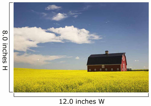 Red Barn Wall Mural