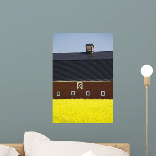 Front Of A Red Barn Wall Mural