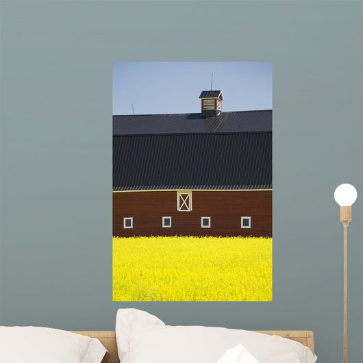 Front Of A Red Barn Wall Mural