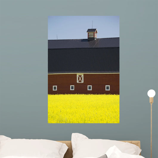 Front Of A Red Barn Wall Mural