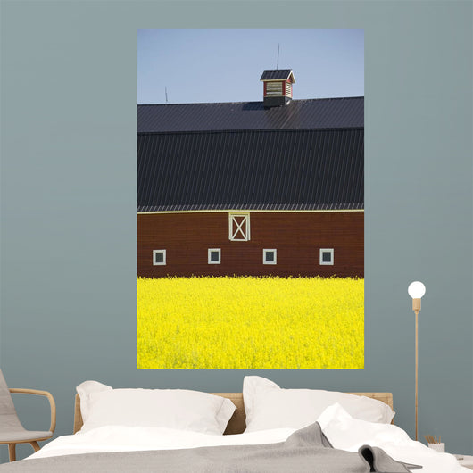 Front Of A Red Barn Wall Mural
