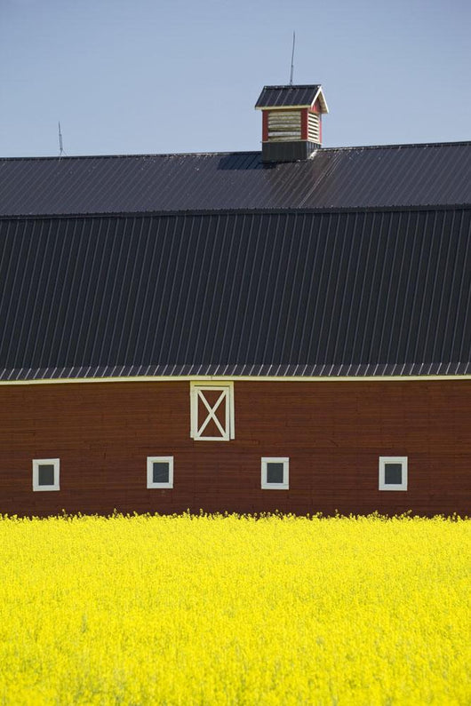 Front Of A Red Barn Wall Mural