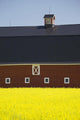 Front Of A Red Barn Wall Mural