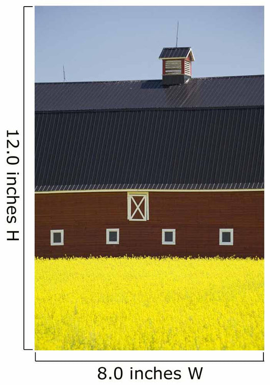 Front Of A Red Barn Wall Mural