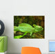 Plumed Basilisk Basiliscus Plumifrons
