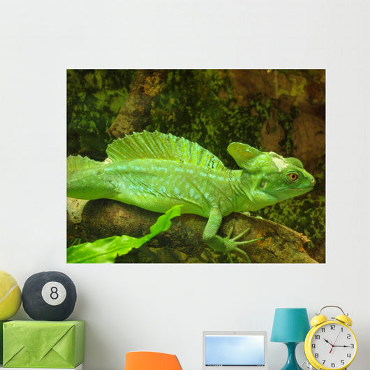 Plumed Basilisk Basiliscus Plumifrons