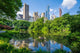 Pond Central Park Manhattan Wall Decal