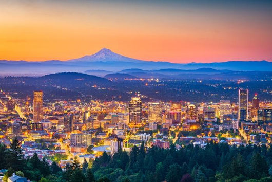 Portland Oregon Usa Skyline Wall Decal