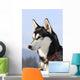 Nordic dog Wall Mural