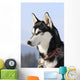 Nordic dog Wall Mural