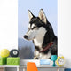 Nordic dog Wall Mural