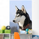 Nordic dog Wall Mural