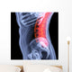 Spine Wall Mural