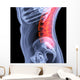 Spine Wall Mural