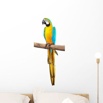 Bright Blue and Yellow Wall Decal shown on a wall