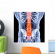 spine Wall Mural