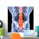 spine Wall Mural