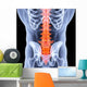 spine Wall Mural