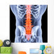 spine Wall Mural