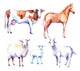 Watercolor Farm Animals Wall Decal Sticker Set
