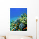 Colored Reef Wall Decal