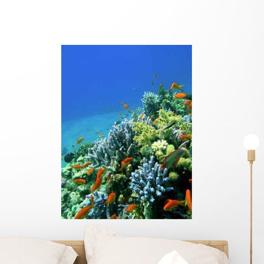 Colored Reef Wall Decal