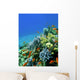 Colored Reef Wall Decal