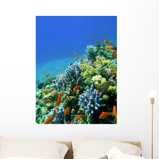 Colored Reef Wall Decal