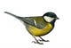 Titmouse Bird Wall Decal