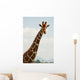 Giraffenkopf Wall Mural