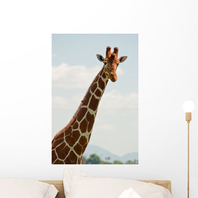 Giraffenkopf Wall Mural shown on a wall