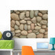 Rock Wall Wall Mural