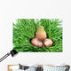 Nestling and Shell Eggshell Wall Mural