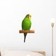 Australian Green Parrot isolated Wall Decal