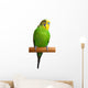 Australian Green Parrot isolated Wall Decal
