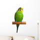 Australian Green Parrot isolated Wall Decal