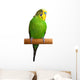 Australian Green Parrot isolated Wall Decal