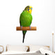 Australian Green Parrot isolated Wall Decal