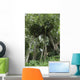 Banyan Tree Wall Mural