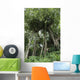 Banyan Tree Wall Mural
