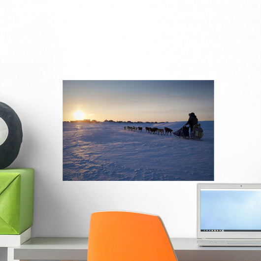 Ray Redington Jr Runs Toward Unalakleet At Sunset During Iditarod 2009 Wall Mural