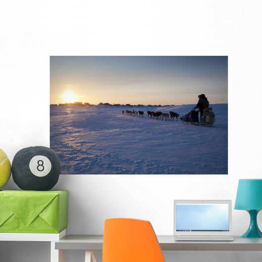 Ray Redington Jr Runs Toward Unalakleet At Sunset During Iditarod 2009 Wall Mural