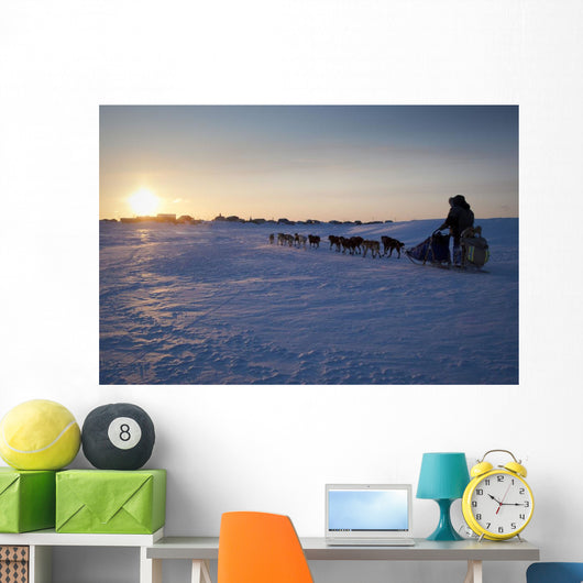 Ray Redington Jr Runs Toward Unalakleet At Sunset During Iditarod 2009 Wall Mural