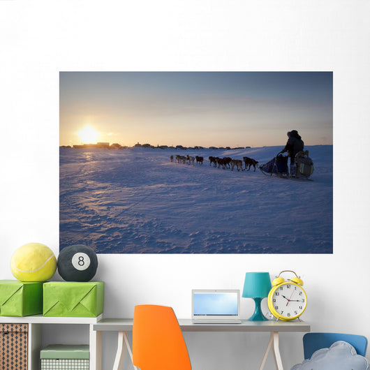 Ray Redington Jr Runs Toward Unalakleet At Sunset During Iditarod 2009 Wall Mural