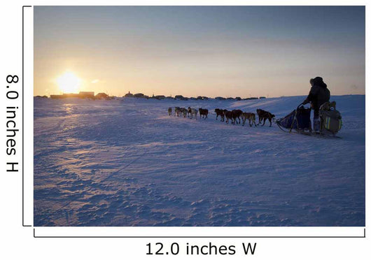 Ray Redington Jr Runs Toward Unalakleet At Sunset During Iditarod 2009 Wall Mural