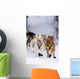 Quinn Iten Lead Dogs Running Wall Mural
