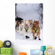 Quinn Iten Lead Dogs Running Wall Mural