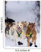 Quinn Iten Lead Dogs Running Wall Mural