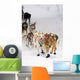 Quinn Iten Lead Dogs Running Wall Mural