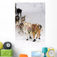 Quinn Iten Lead Dogs Running Wall Mural